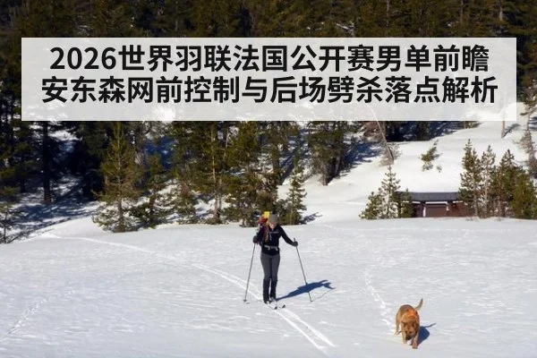 2026世界羽联法国公开赛男单前瞻 安东森网前控制与后场劈杀落点解析
